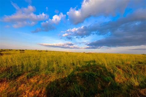 Campo Herboso Con Las Nubes En El Cielo Azul Foto De Archivo Imagen