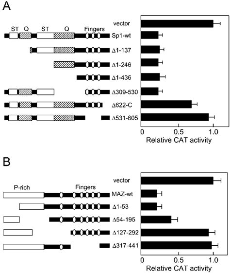 Repression Is Mediated By Binding Sites For Sp And Maz In The Maz