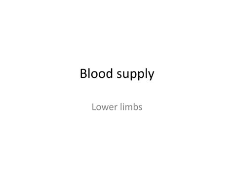 Solution Blood Supply To The Lower Limb Studypool
