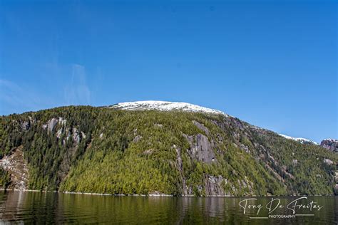 Misty Fjords Wilderness Explorer Boat Excursion Out Of W Flickr