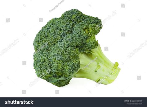 Broccoli Crown Isolated On White Background Stock Photo 2261316795