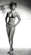 Vintage Burlesque Porn Pictures XXX Photos Sex Images PICTOA