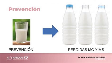 Medio Vaso De Leche Para Prevenir Las Mastitis Bovinas