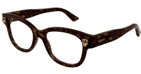 Cartier Ct0373 Havana Glasses Lyst