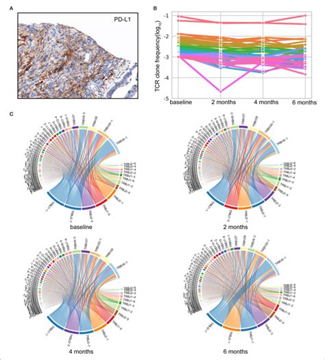 Comprehensive Analysis Of The Immune Landscape A Download