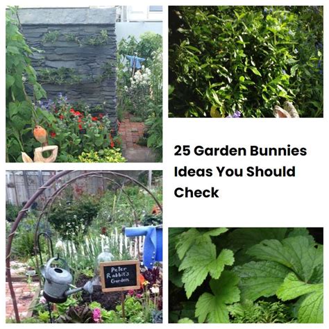 25 Garden Bunnies Ideas You Should Check SharonSable