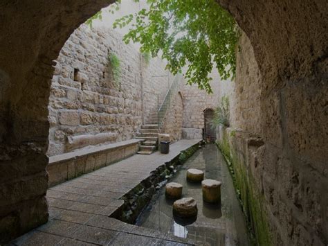 Abren A Visitantes Excavaci N De Piscina De Silo