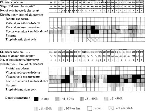 Table 2 From Investigation Of Cell Lineage And Differentiation In The