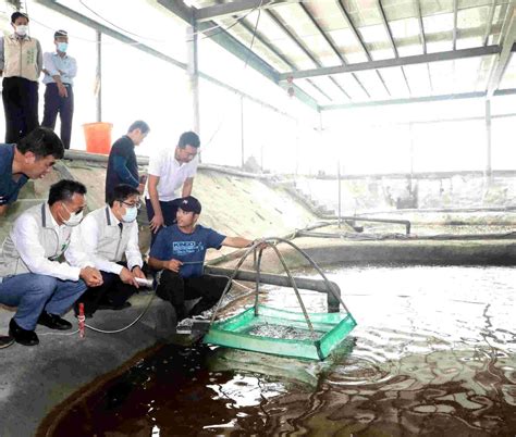 魚塭改養殖場 漁電共生雙贏 中華日報中華新聞雲