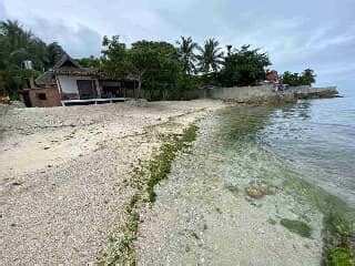 8 Listings Beach House For Sale In Oslob Trovit