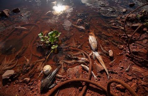 V Deo Pol Cia Ambiental Fiscaliza Pontos De Decoada No Pantanal