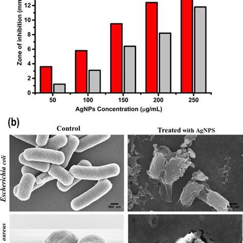 Characterization Of Agnps Synthesized Using Cassia Fistula Flower