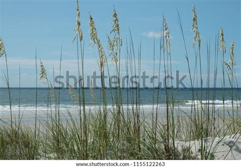 1681 Myrtle Beach Fun Images Stock Photos And Vectors Shutterstock