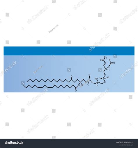 Diagram Showing Schematic Molecular Structure Of Royalty Free Stock Vector 2390069183