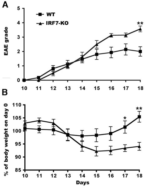 Irf Ko Mice Develop More Severe Eae A Clinical Score Of Mice With