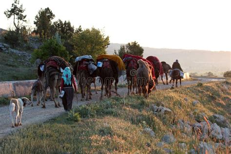 Nomadic people stock image. Image of carpet, tradition - 669853