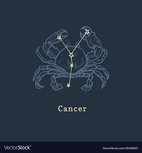 Zodiac Constellation Cancer In Engraving Style Vector Image