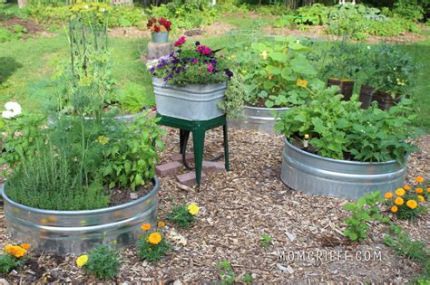 Horse Trough Garden Ideas Fasci Garden