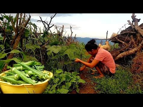 Okra Pang Ulam Sa Gabi Youtube