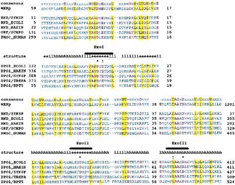 Previously undetected conserved domains and motifs in positionally ... 
