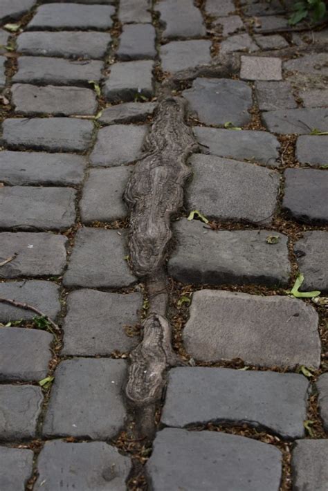 Fotos Soest Stadtfuehrung De