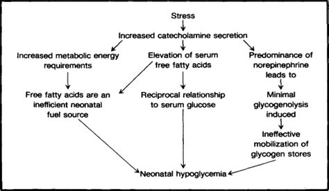 Neonatal Hypoglycemia Jogn Nursing