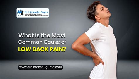 What Are The Most Common Causes Of Low Back Pain Dr Himanshu Gupta