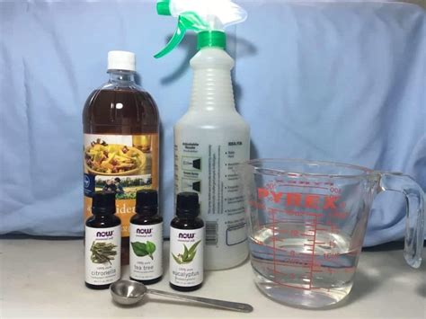 How To Make Homemade Fly Spray For Horses That's All Natural