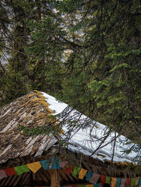 Una Casa Con Un Techo Cubierto De Nieve Foto Premium