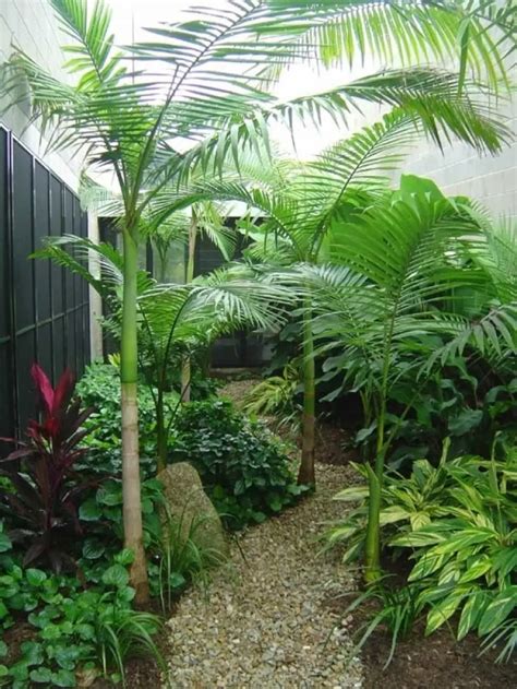 10 Awesome Ideas How To Make Small Tropical Backyard Ideas Simphome