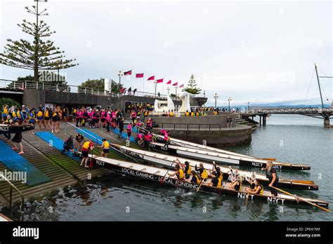 Dragon Boat Teams Training In Whairepo Lagoon For A Forthcoming