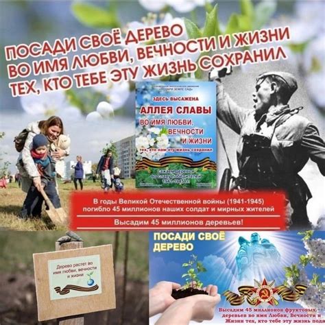 ЧЕЛОВЕК и ПРИРОДА. ДЕЛО НА ВЕКА. ПОСАДКА ДЕРЕВЬЕВ Люди, сажающие ...