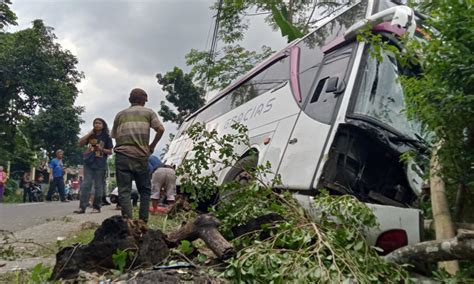 Diduga Rem Blong Bus Pariwisata Tabrak 5 Kendaraan Di Pasar Lumbang