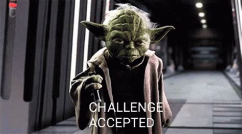 Challenge Accepted GIF - Challenge Accepted - Discover & Share GIFs