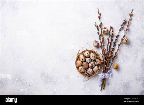 Easter Background With Quail Eggs And Pussy Willow Stock Photo Alamy