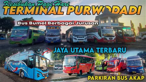 Kesibukan Pagi Hari Di Terminal Purwodadi Ada Bus Jaya Utama Terbaru