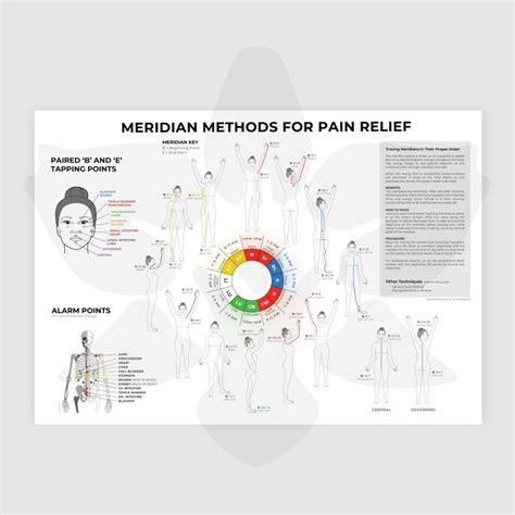 Meridian Methods for Pain Relief Poster (19x27) - Northeast Healing ...