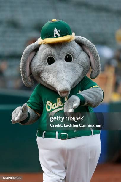The Oakland Athletics Photos and Premium High Res Pictures - Getty Images