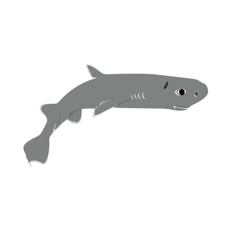 Dwarf Lantern Shark Royalty-Free Images, Stock Photos & Pictures ...