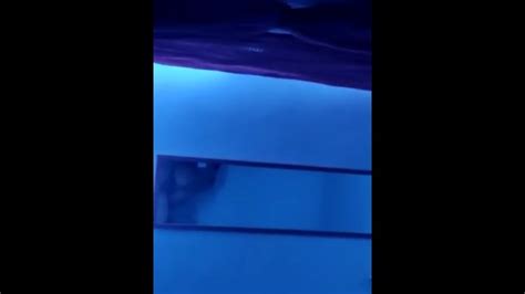 En El Espejo Con Mi Hermanastra Latina Pornhub