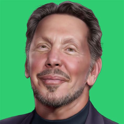 Larry Ellison Fighter Jet