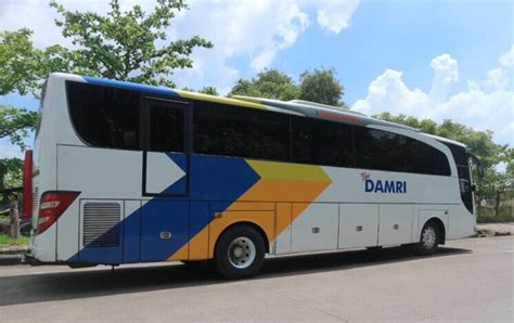 Jadwal Bus Damri Jabodetabek Ke Bandara Soetta Terbaru Lengkap Dengan