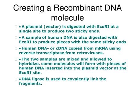 Ppt Genetics And Recombinant Dna Powerpoint Presentation Free Download Id 3892572