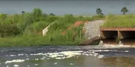 Rio é interditado no oeste da Bahia após vazamentos de dejetos de