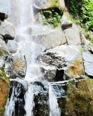 Shibari Eclissis Leaked Nude Photos And Videos