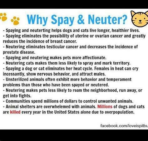 Why Spay And Neuter Your Pets Here Are A Few Good Reasons Spay