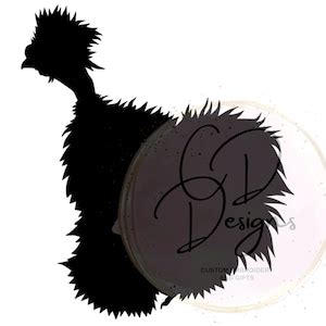 Show Girl Chicken Custom Vinyl Naked Neck Silkie Chicken Decal Car Decal Personalized Decal Etsy