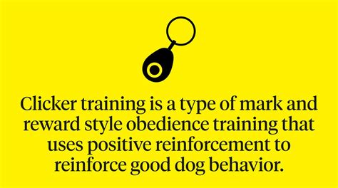 Clicker Training Dogs: Benefits & Tips | Dutch