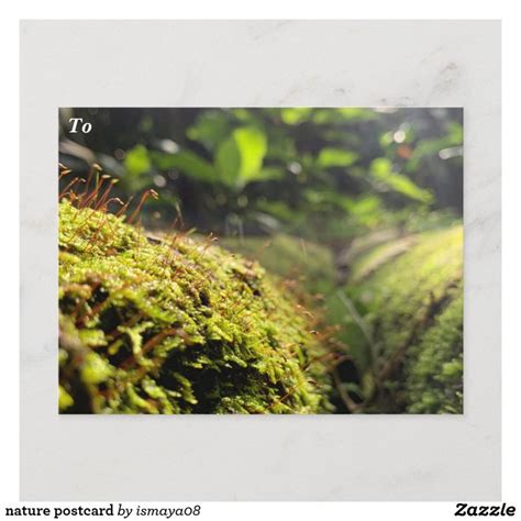 Nature Postcards No Minimum Quantity Zazzle