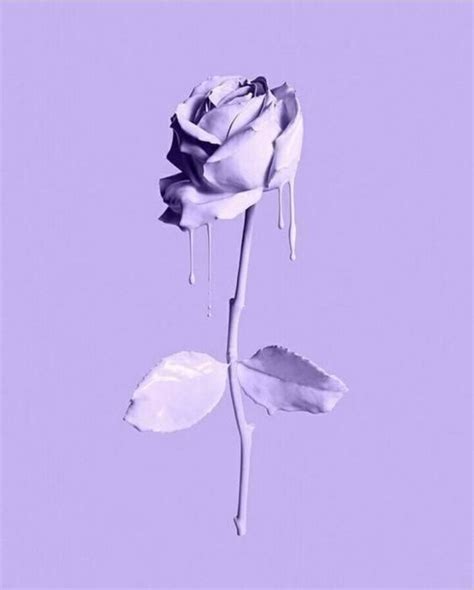 Wallpaper Pastel Purple Aesthetic Flowers - Download Free Mock-up